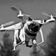 DroneDog