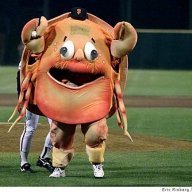 Sfgiants24