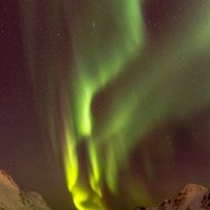 Bucksnaturetog