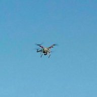 Chicken drone