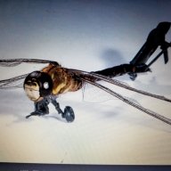 Mosquito