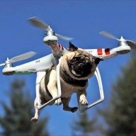 thefrisbee995