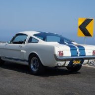 ShelbyGuy