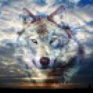 BluWolf