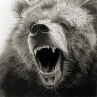 Ursus Horribilis