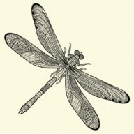 Dragonfly Joe