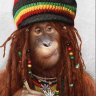 Drdave
