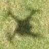 Dronero