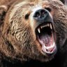 Libear
