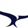 EaglePrecision
