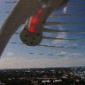 SOGdrone1