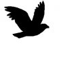 yardbird