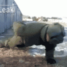 ru55ian