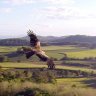 Flyaware