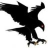Blackhawk50