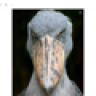 Jahbass