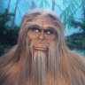 Yeti