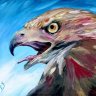 Hawk's Eye