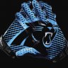 Carolinaflyer