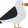 rmzigmund