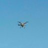 Chicken drone