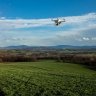 FeralFlyer