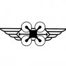 CFI-I