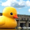 BubberDucky