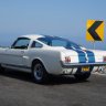 ShelbyGuy