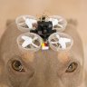 SoyFPV