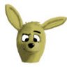 kangaroox