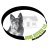 Home Inspector
