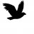 yardbird