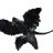 microraptor