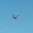 Chicken drone