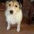 Digby
