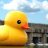 BubberDucky