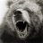 Ursus Horribilis