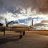 C-FMEA