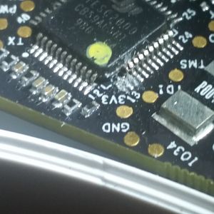BGecko