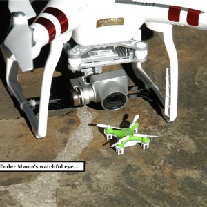 Mama-Helicopter-closeup