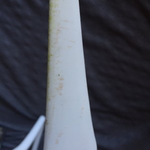Dirty prop