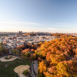 Inwood Hills Park, Fall 2015