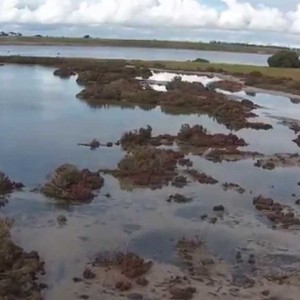 Limeburners Lagoon Nature Reserve - YouTube