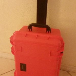 Microraptor Pro