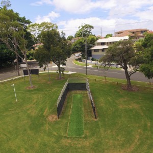 Cricket pitch