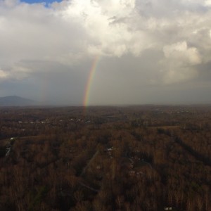 Rainbow