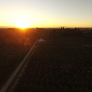 DJI Lens Flare