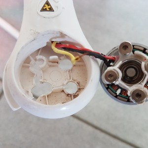 Motor