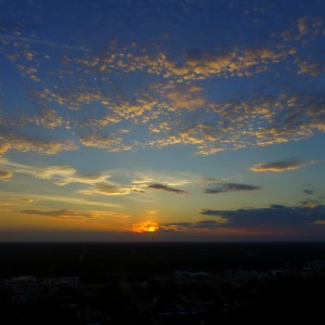 DJI_0156